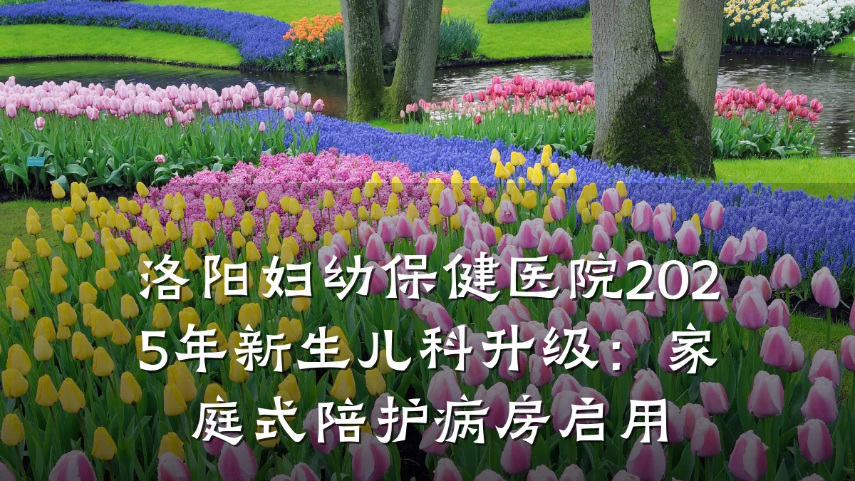洛阳妇幼保健医院2025年新生儿科升级：家庭式陪护病房启用