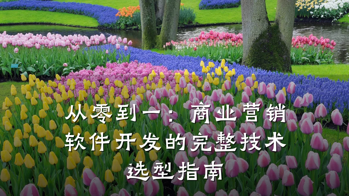 从零到一：商业营销软件开发的完整技术选型指南