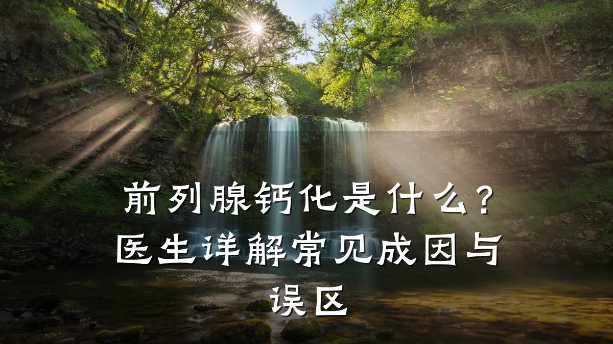 前列腺钙化是什么？医生详解常见成因与误区