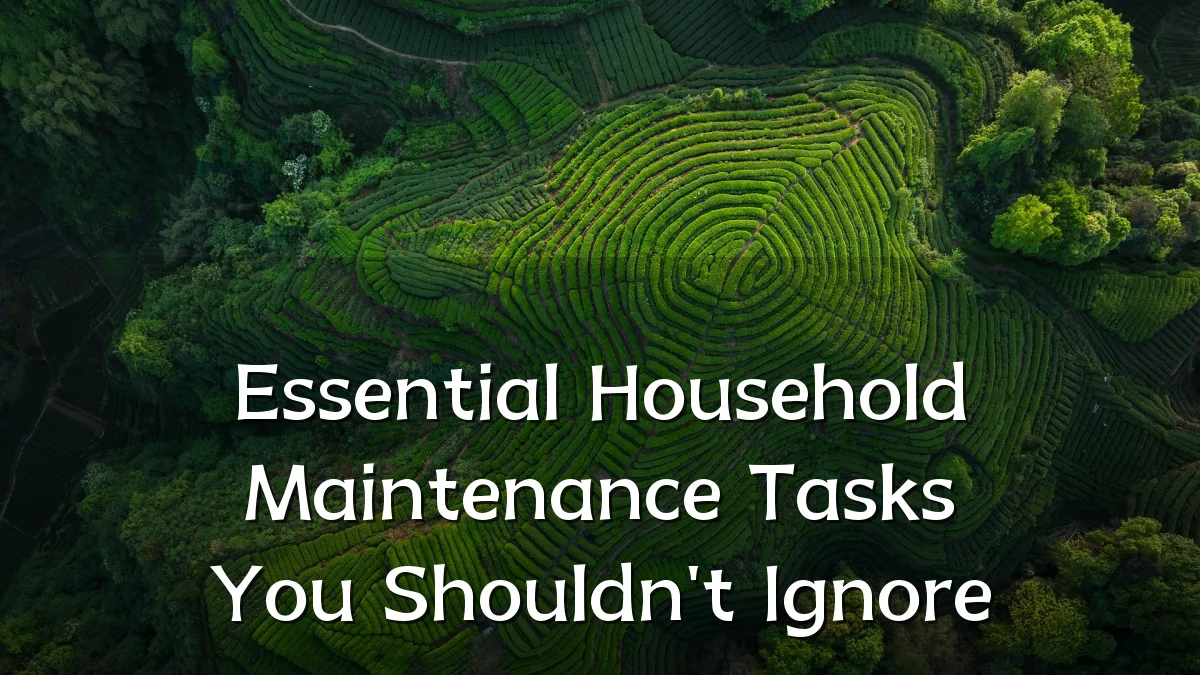 Essential Household Maintenance Tasks You Shouldn't Ignore