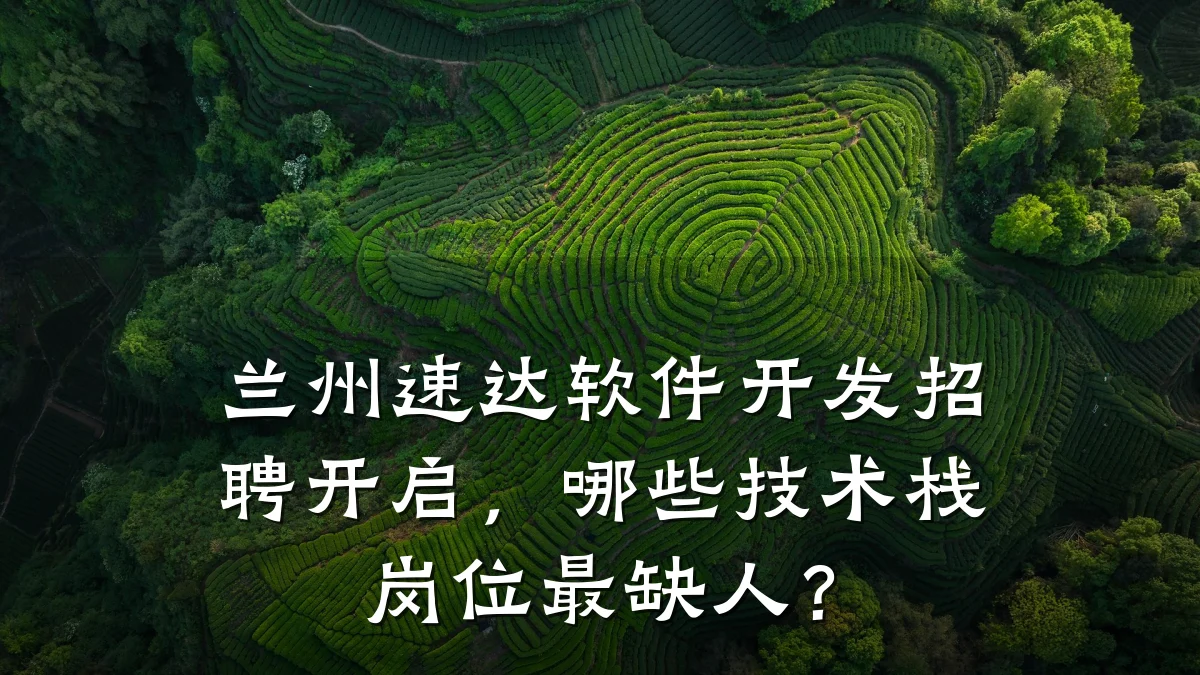 兰州速达软件开发招聘开启,哪些技术栈岗位最缺人?