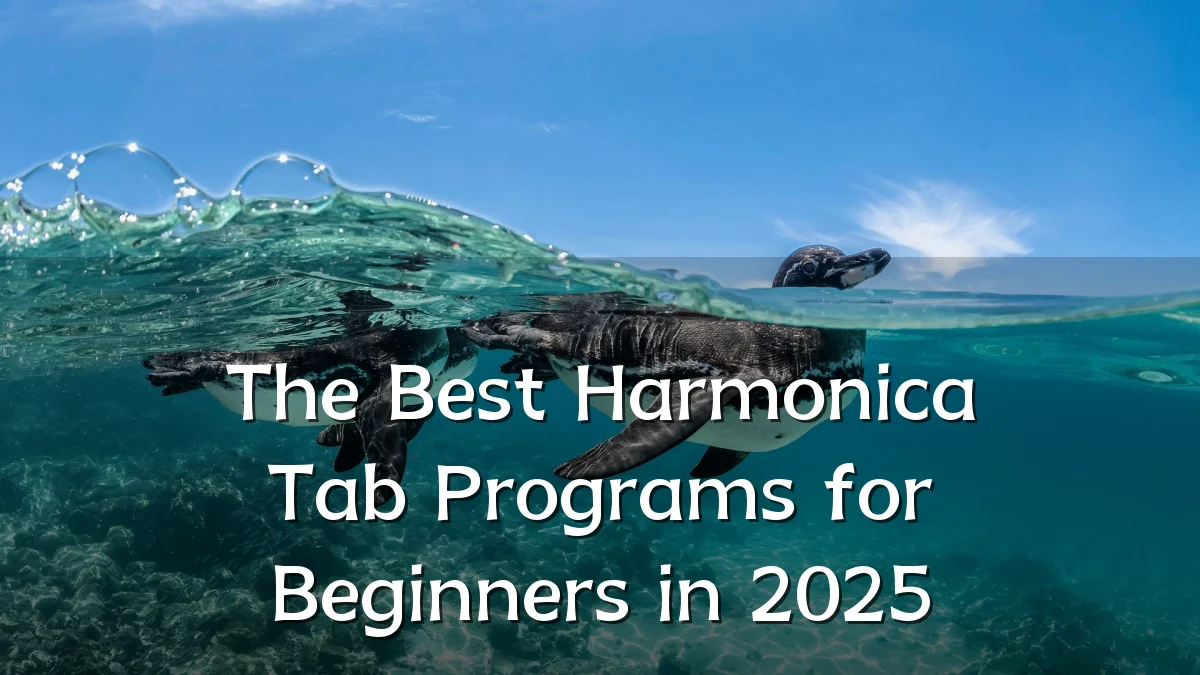 The Best Harmonica Tab Programs for Beginners in 2025