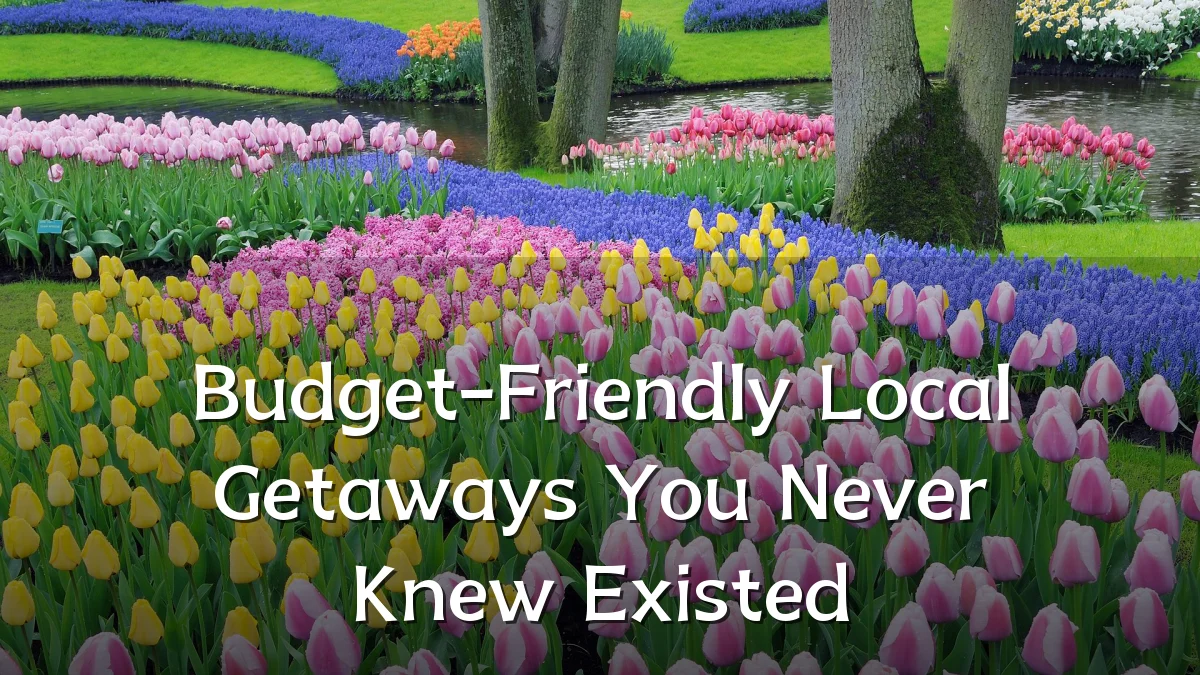 Budget-Friendly Local Getaways You Never Knew Existed