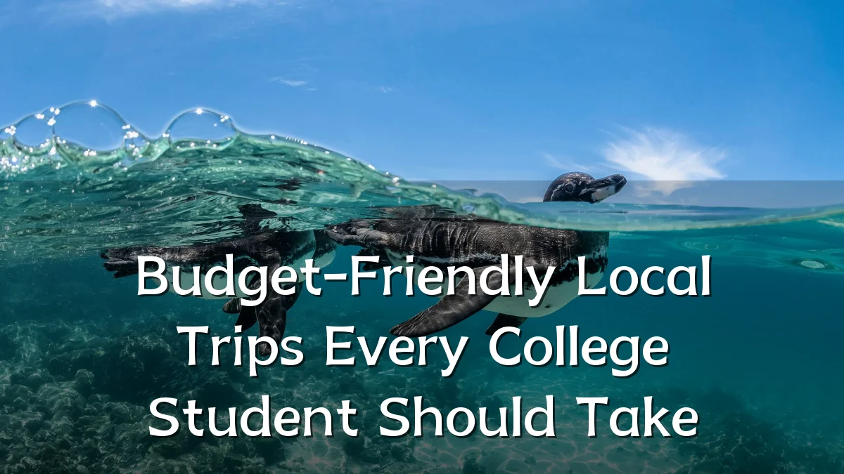 Budget-Friendly Local Trips Every College Student Should Take