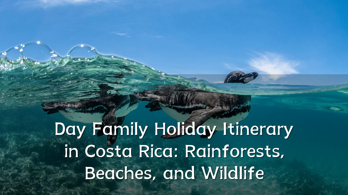 Day Family Holiday Itinerary in Costa Rica: Rainforests, Beaches, and Wildlife