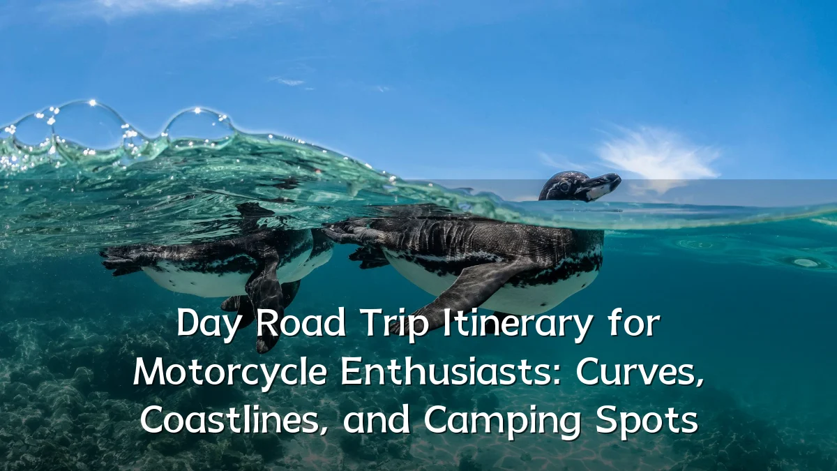 Day Road Trip Itinerary for Motorcycle Enthusiasts: Curves, Coastlines, and Camping Spots