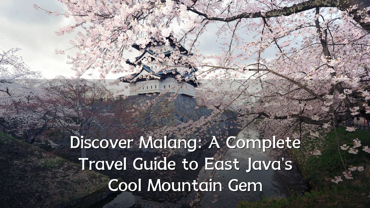 Discover Malang: A Complete Travel Guide to East Java's Cool Mountain Gem