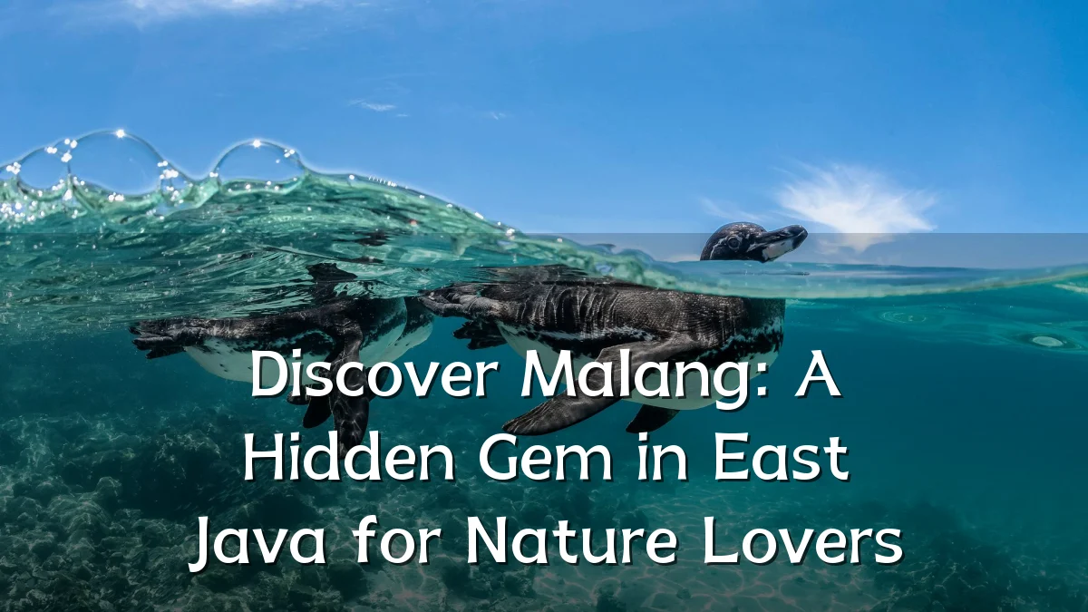 Discover Malang: A Hidden Gem in East Java for Nature Lovers