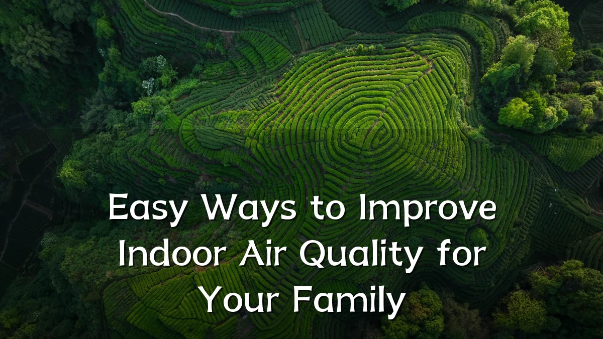 Easy Ways to Improve Indoor Air Quality for Your Family