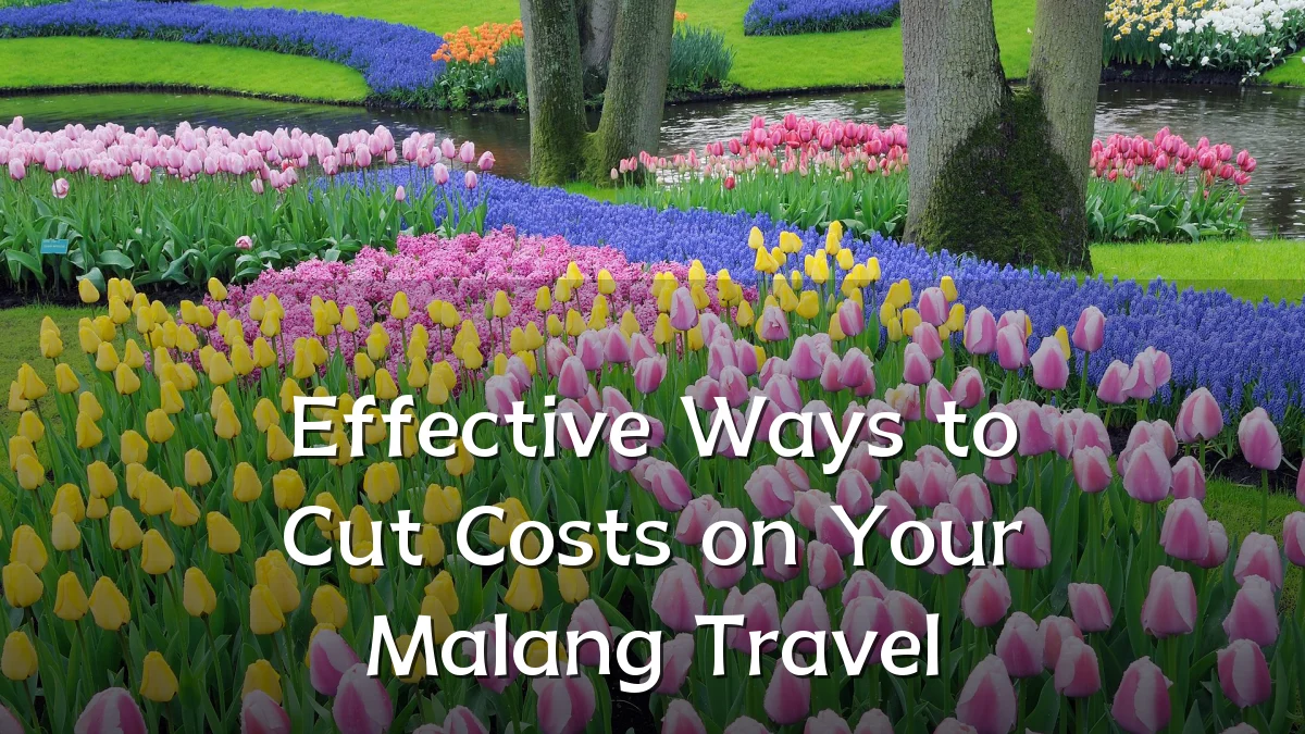 Effective Ways to Cut Costs on Your Malang Travel