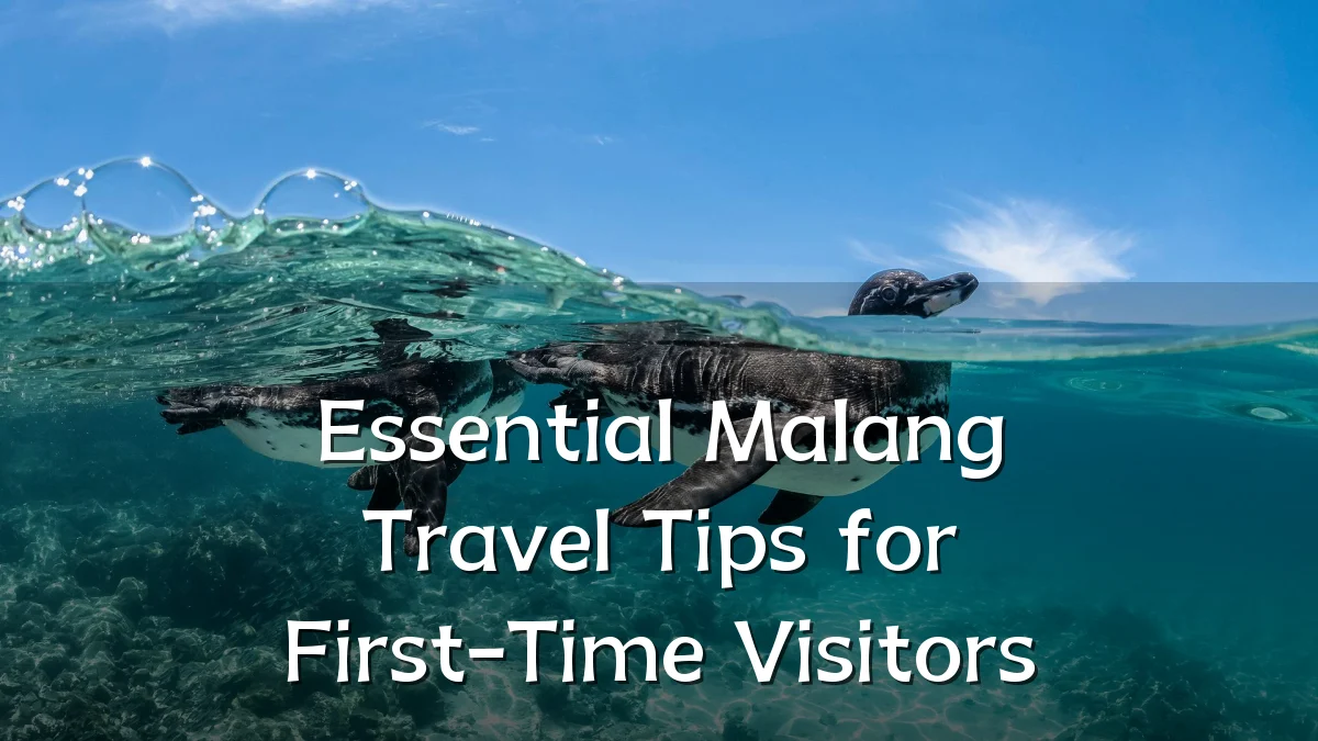 Essential Malang Travel Tips for First-Time Visitors