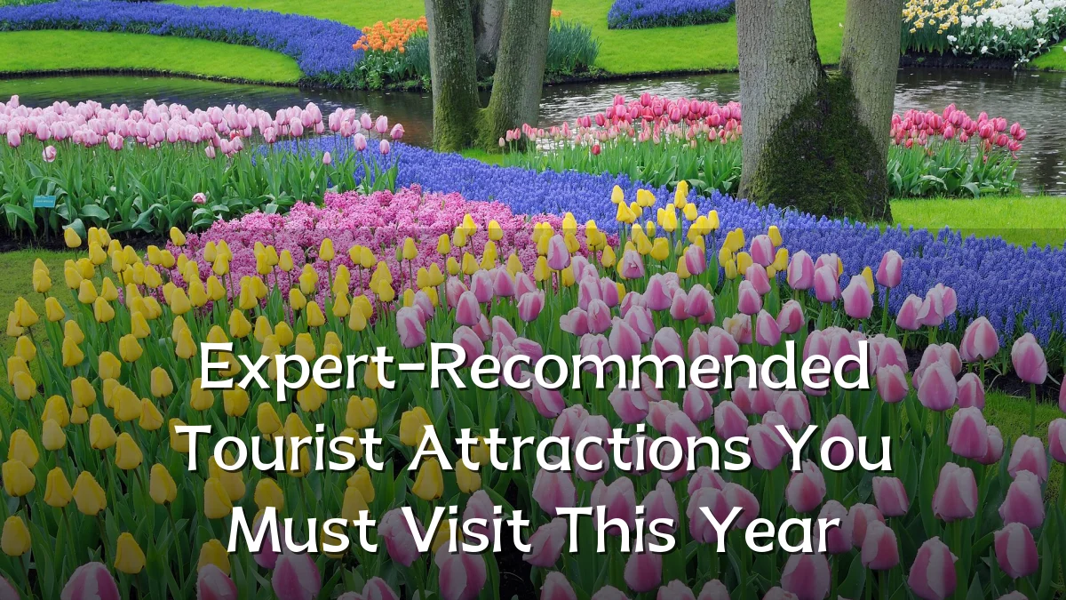Expert-Recommended Tourist Attractions You Must Visit This Year