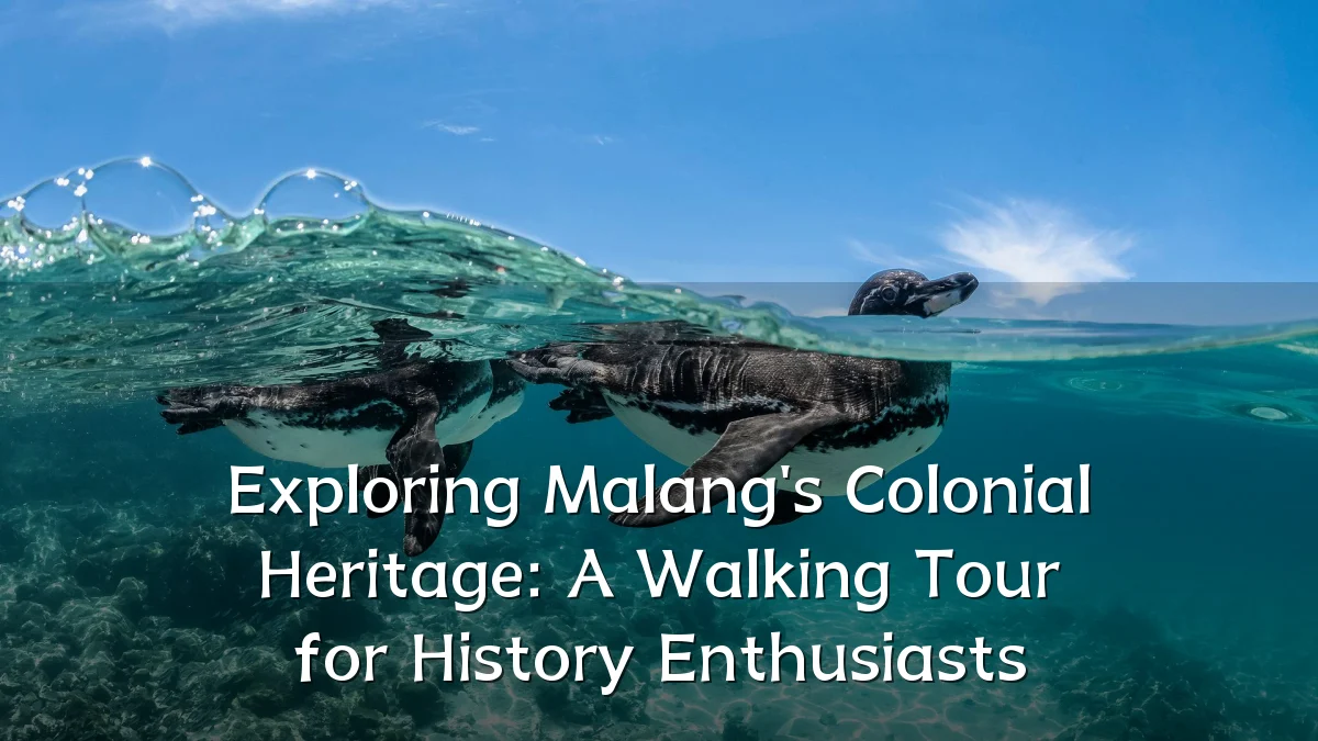 Exploring Malang's Colonial Heritage: A Walking Tour for History Enthusiasts