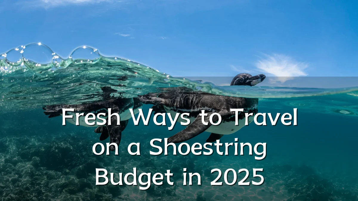Fresh Ways to Travel on a Shoestring Budget in 2025