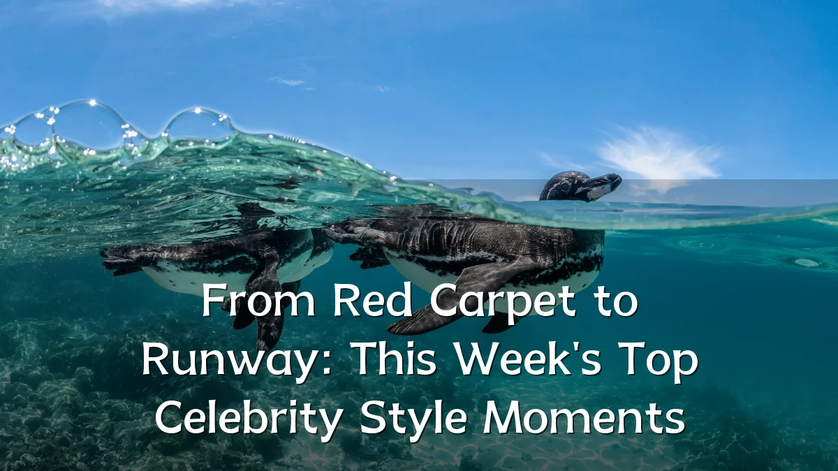 From Red Carpet to Runway: This Week's Top Celebrity Style Moments