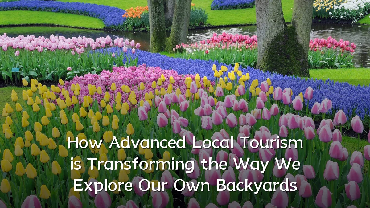 How Advanced Local Tourism is Transforming the Way We Explore Our Own Backyards