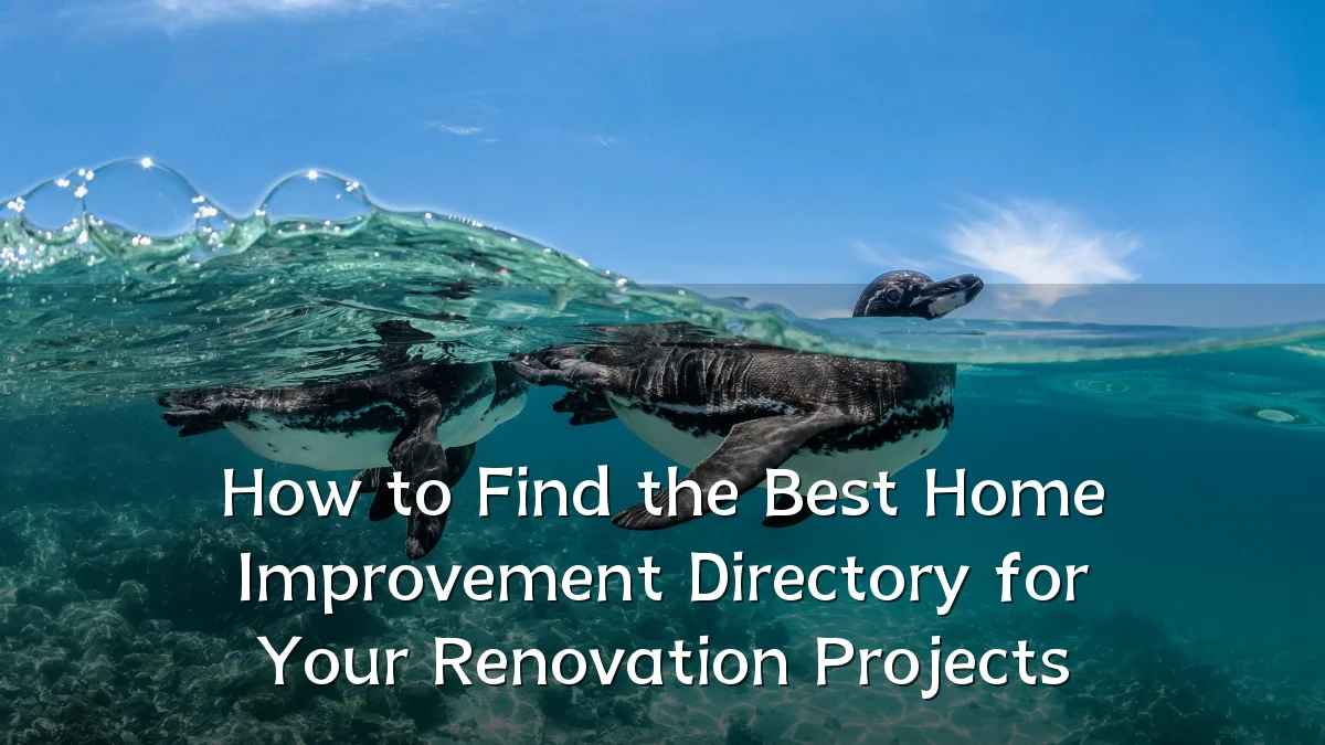 How to Find the Best Home Improvement Directory for Your Renovation Projects