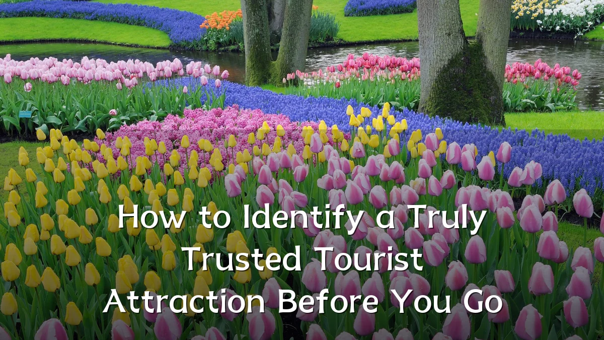 How to Identify a Truly Trusted Tourist Attraction Before You Go