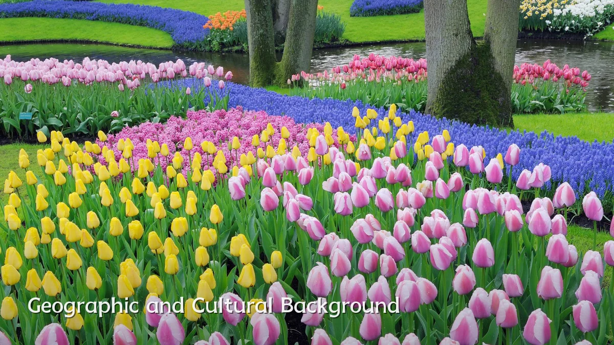 Geographic and Cultural Background