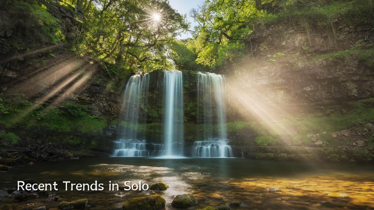 Recent Trends in Solo