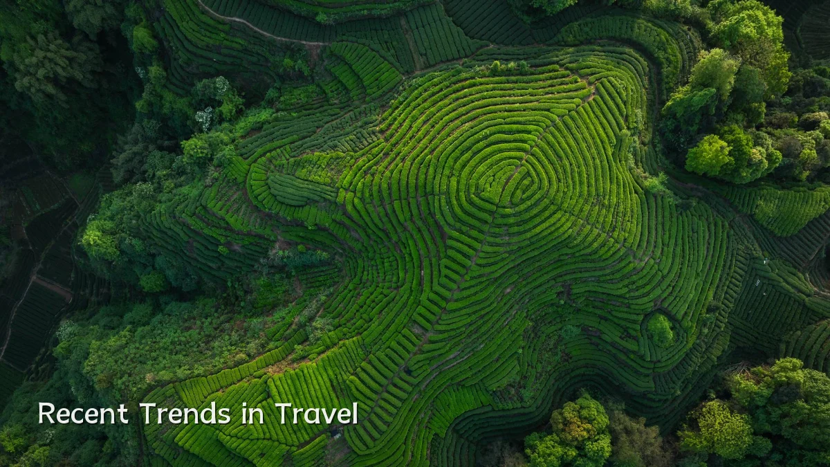 Recent Trends in Travel