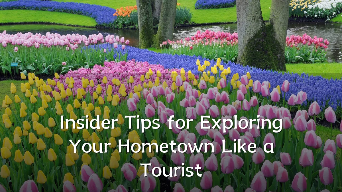 Insider Tips for Exploring Your Hometown Like a Tourist