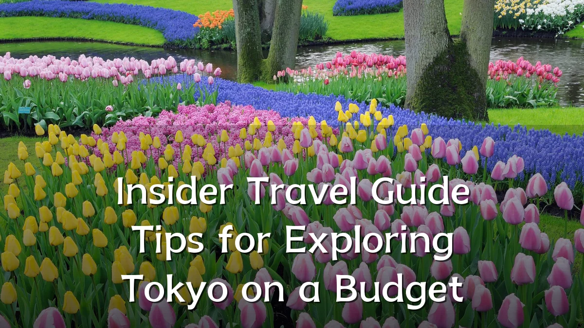 Insider Travel Guide Tips for Exploring Tokyo on a Budget