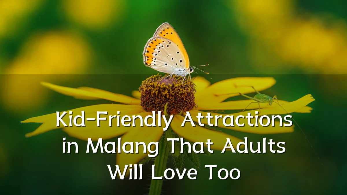 Kid-Friendly Attractions in Malang That Adults Will Love Too