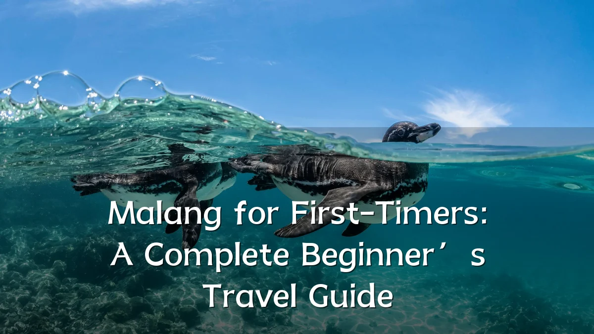 Malang for First-Timers: A Complete Beginner’s Travel Guide