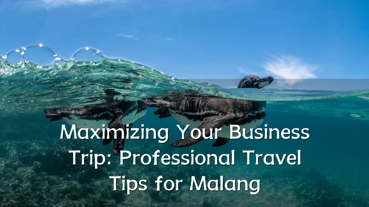 Maximizing Your Business Trip: Professional Travel Tips for Malang