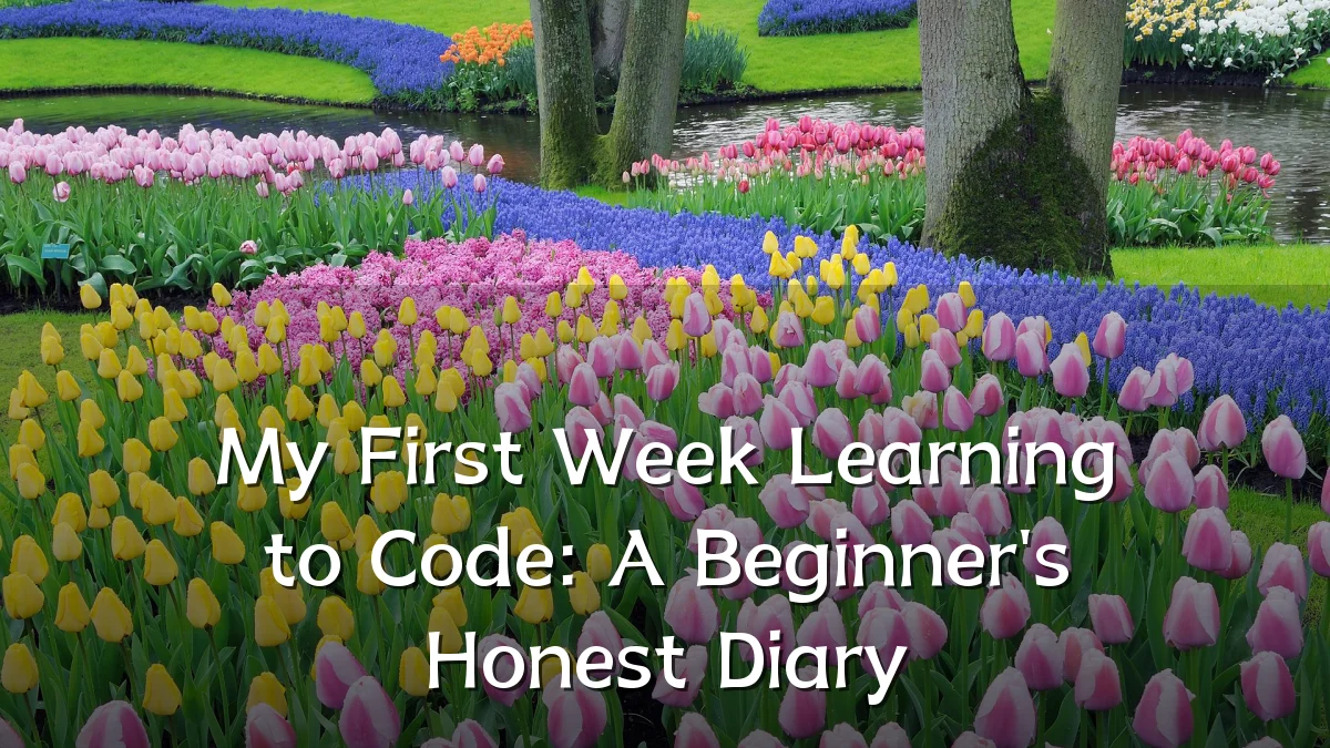 My First Week Learning to Code: A Beginner's Honest Diary