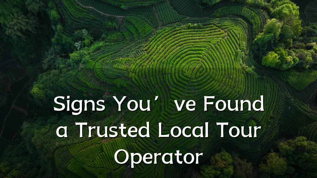 Signs You’ve Found a Trusted Local Tour Operator
