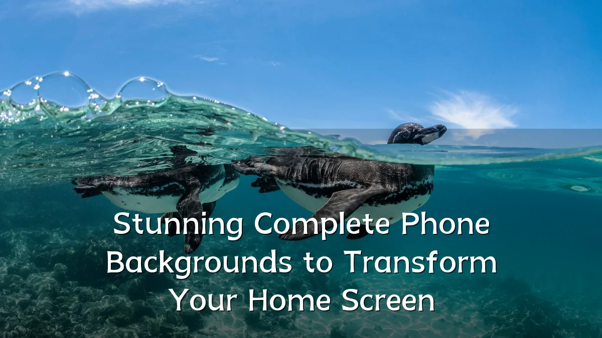 Stunning Complete Phone Backgrounds to Transform Your Home Screen