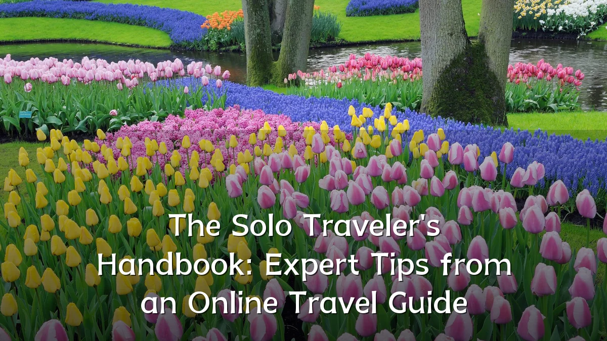 The Solo Traveler's Handbook: Expert Tips from an Online Travel Guide