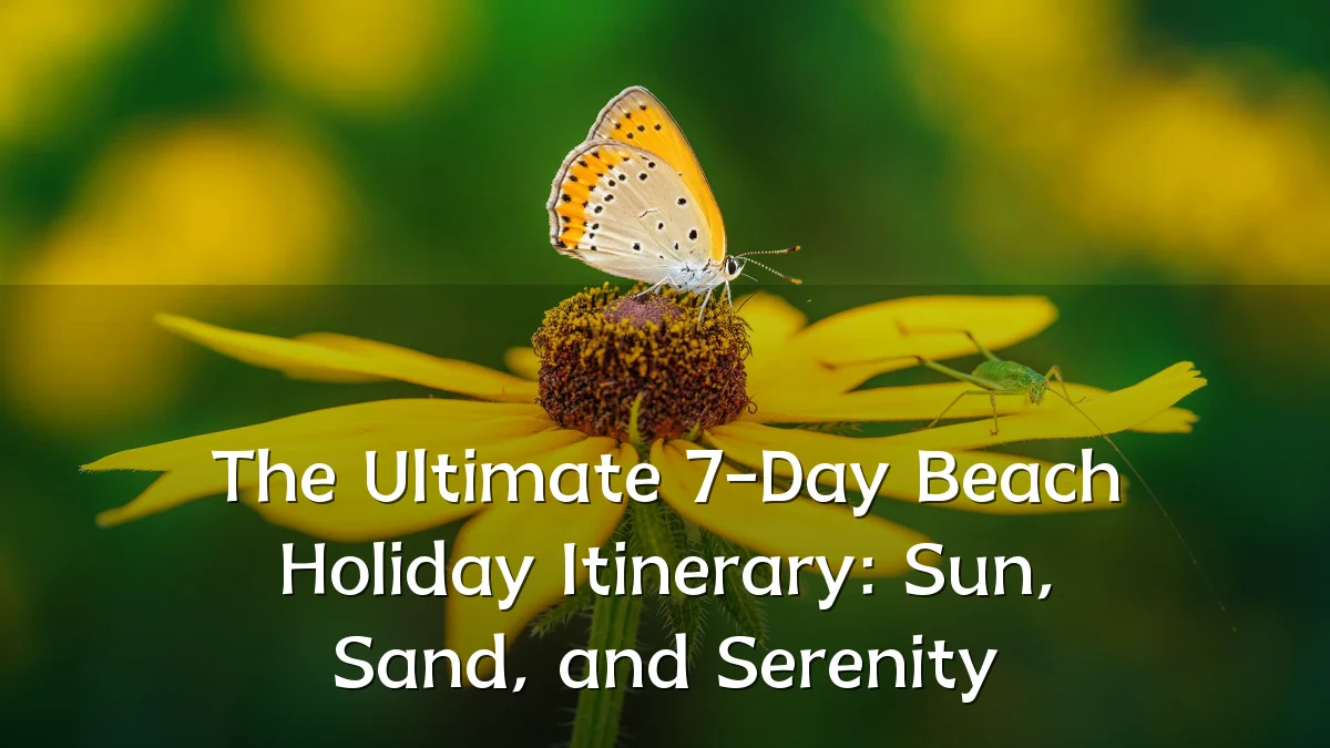 The Ultimate 7-Day Beach Holiday Itinerary: Sun, Sand, and Serenity