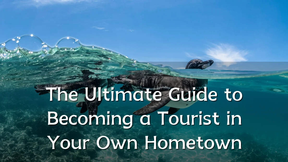 The Ultimate Guide to Becoming a Tourist in Your Own Hometown