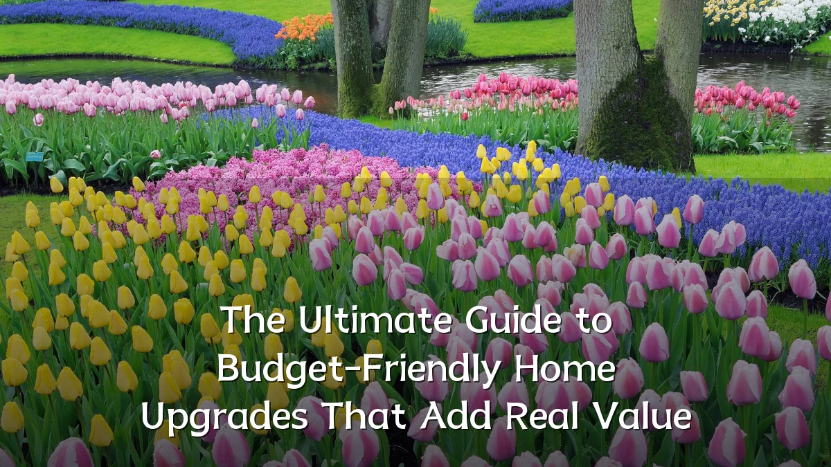 The Ultimate Guide to Budget-Friendly Home Upgrades That Add Real Value