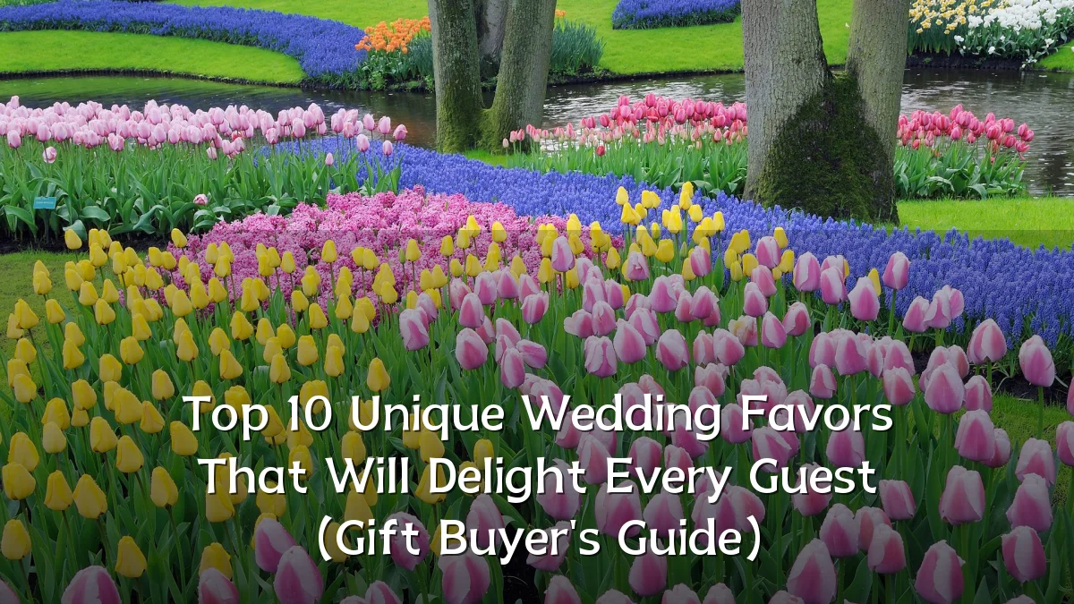 Top 10 Unique Wedding Favors That Will Delight Every Guest (Gift Buyer's Guide)