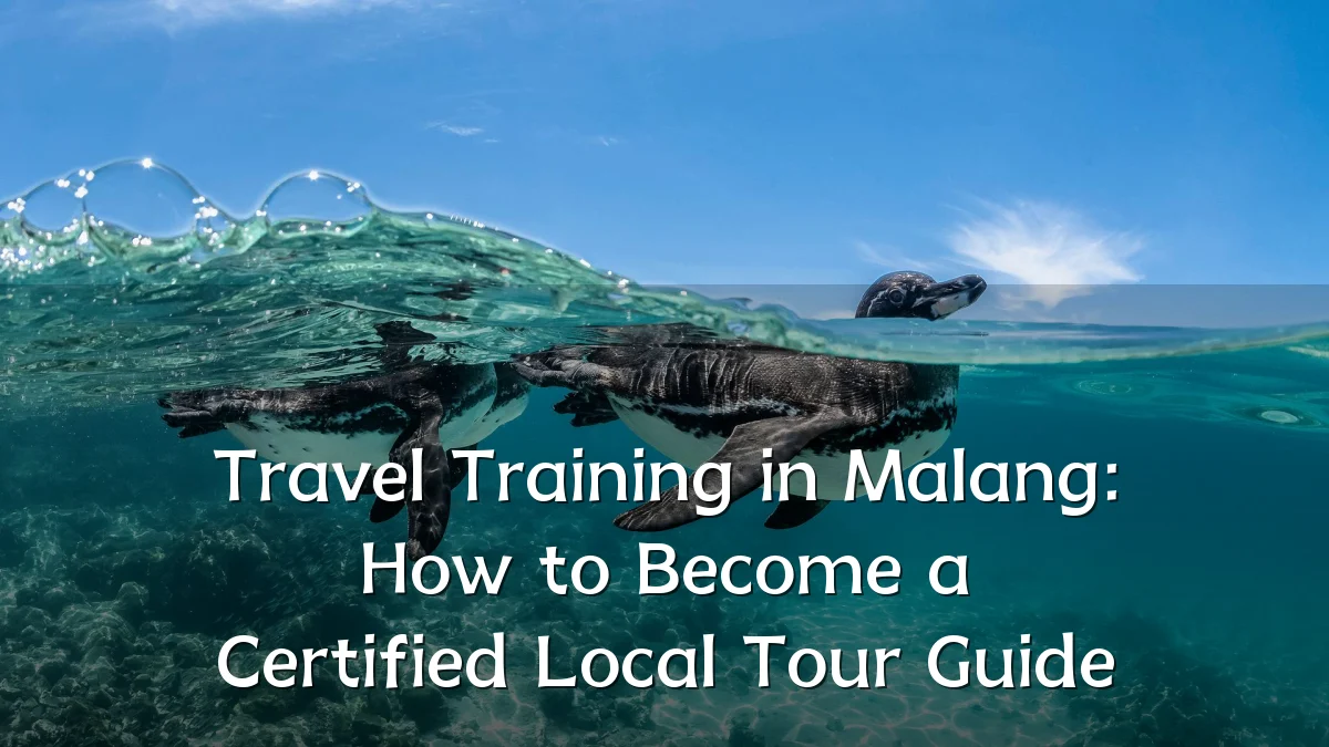 Travel Training in Malang: How to Become a Certified Local Tour Guide