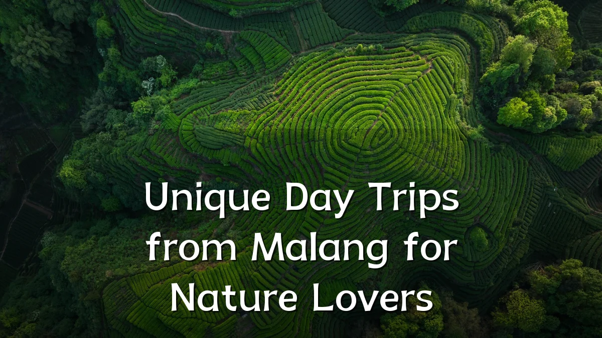 Unique Day Trips from Malang for Nature Lovers