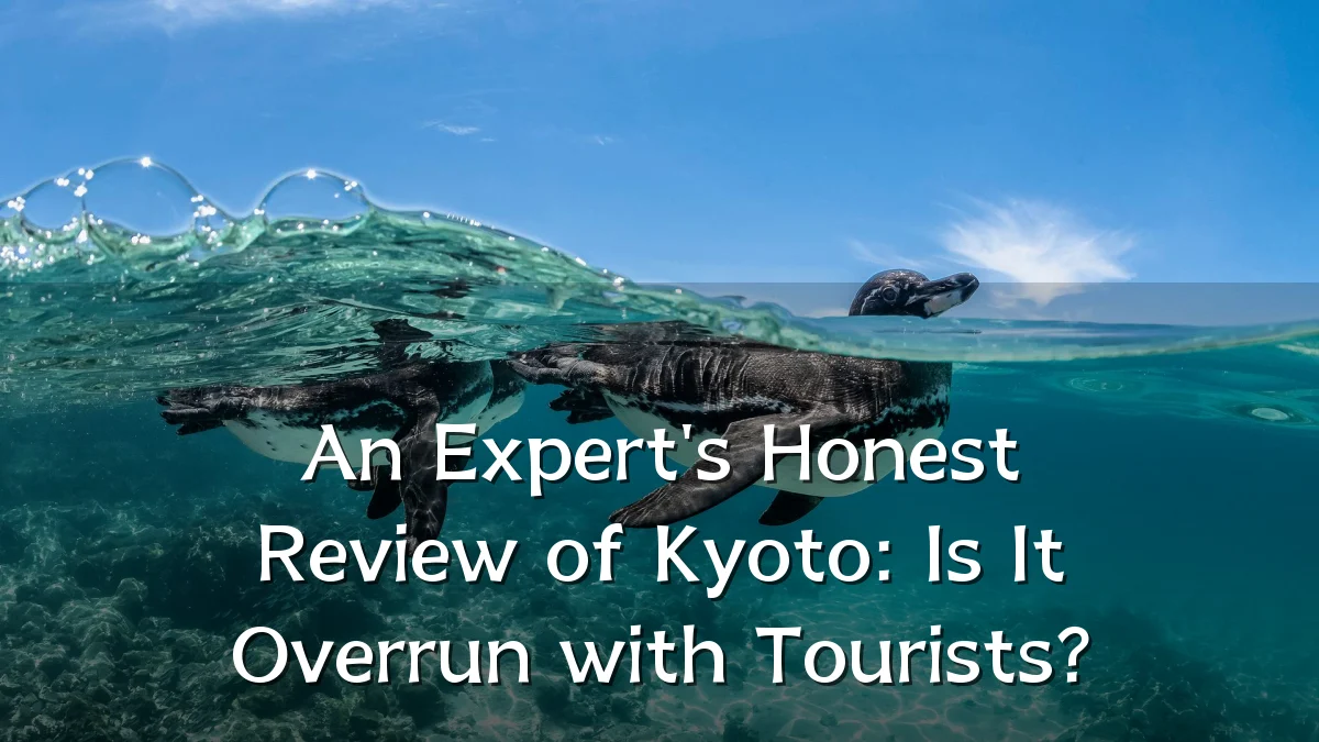 An Expert's Honest Review of Kyoto: Is It Overrun with Tourists?