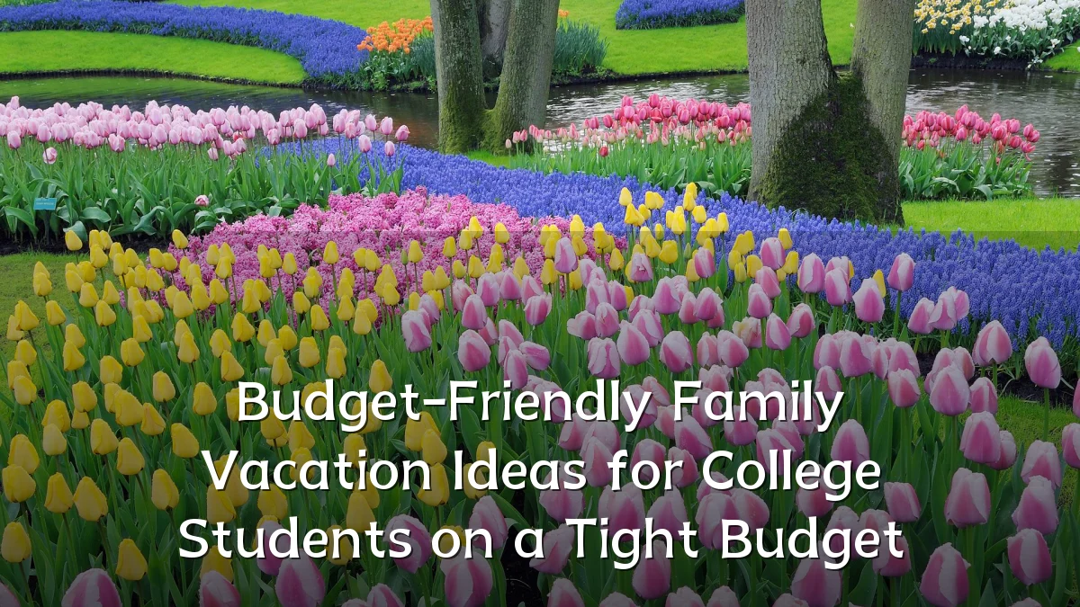 Budget-Friendly Family Vacation Ideas for College Students on a Tight Budget