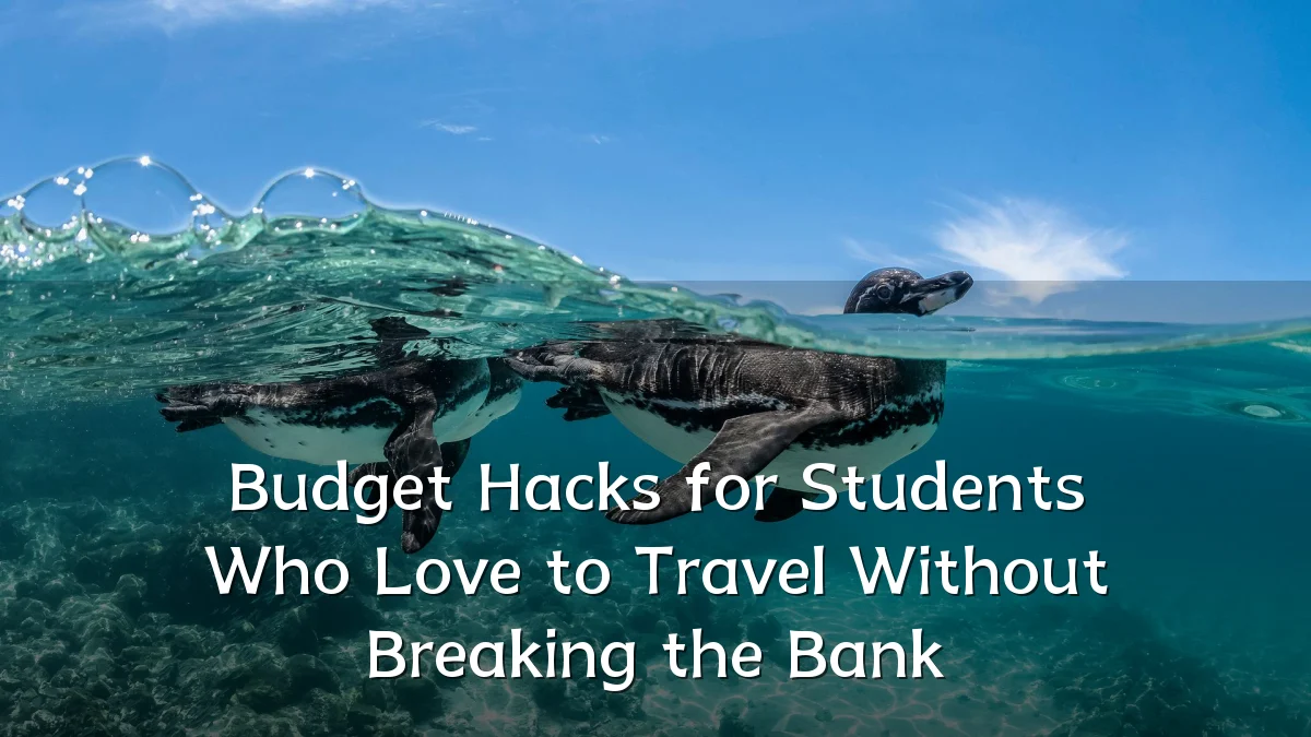 Budget Hacks for Students Who Love to Travel Without Breaking the Bank