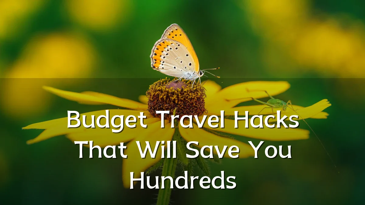Budget Travel Hacks That Will Save You Hundreds