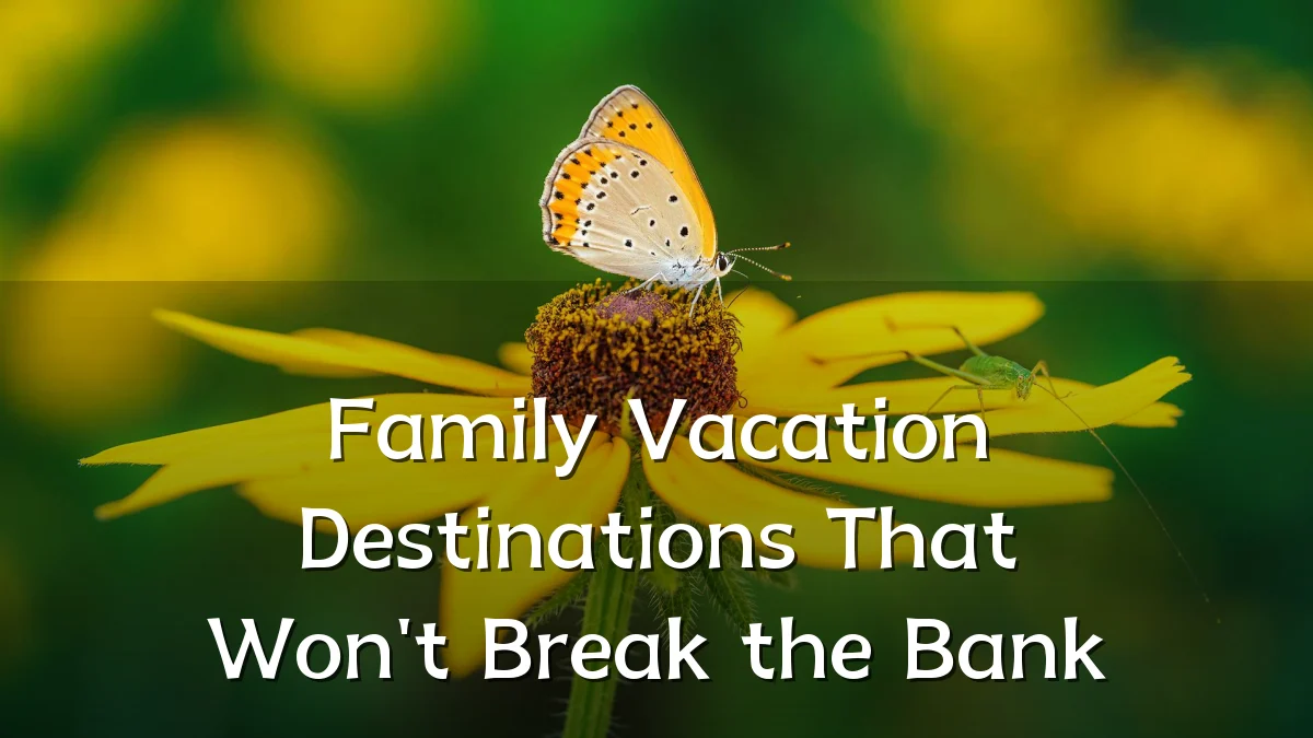 Family Vacation Destinations That Won't Break the Bank
