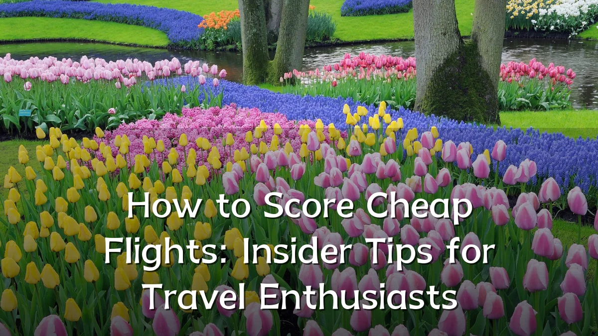 How to Score Cheap Flights: Insider Tips for Travel Enthusiasts