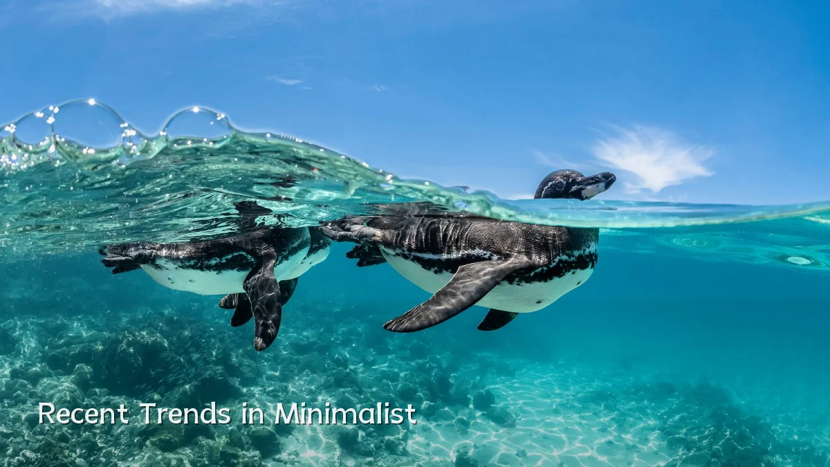 Recent Trends in Minimalist