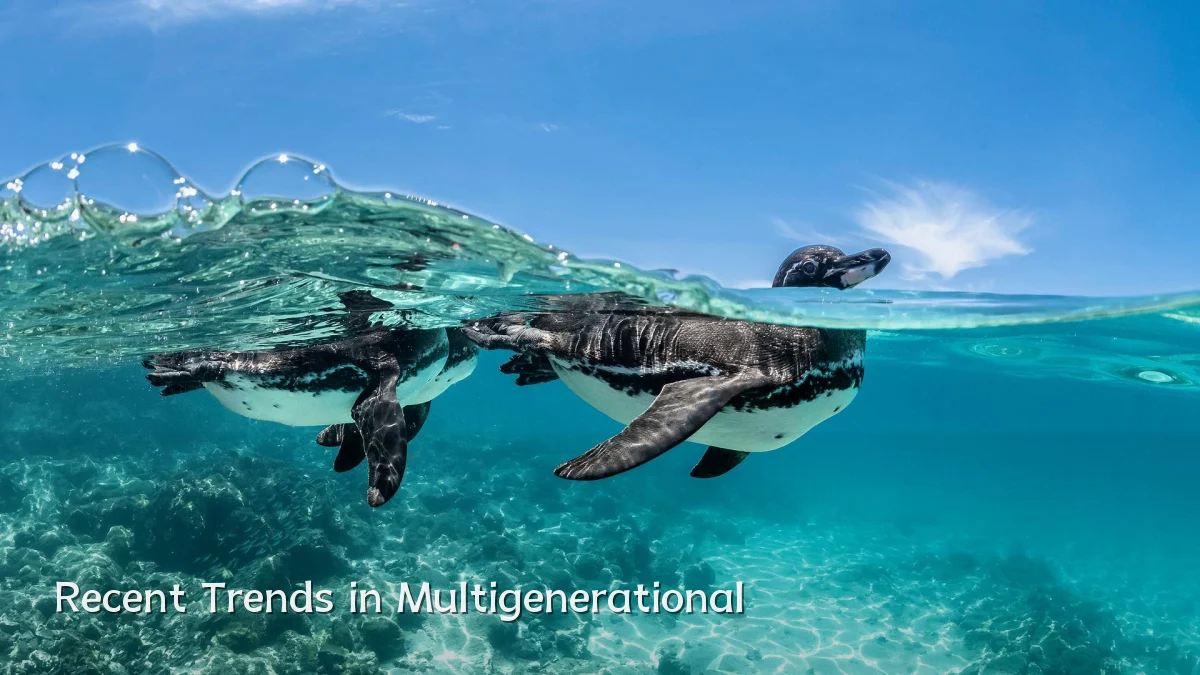 Recent Trends in Multigenerational