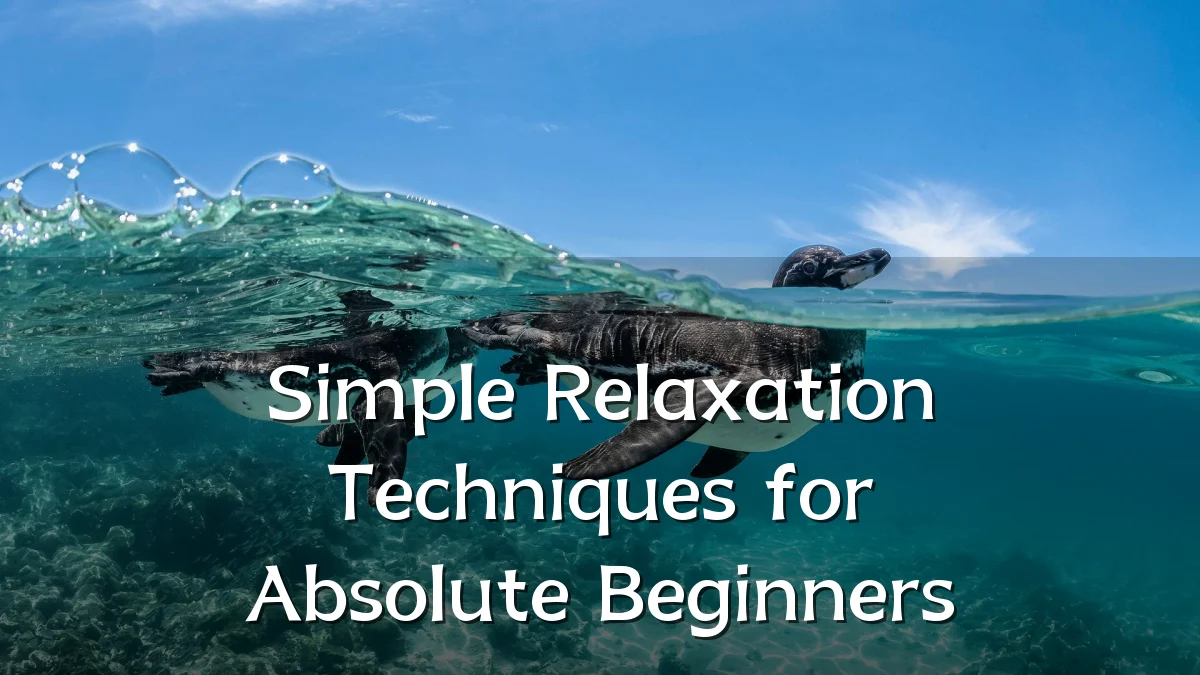 Simple Relaxation Techniques for Absolute Beginners