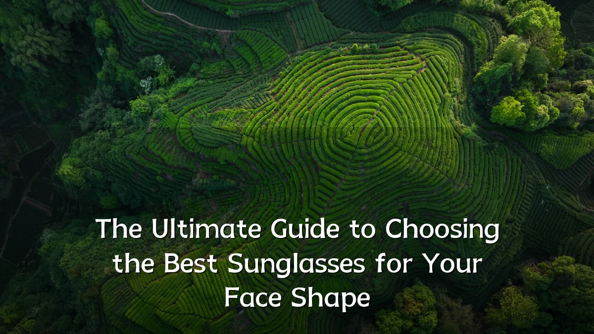 The Ultimate Guide to Choosing the Best Sunglasses for Your Face Shape